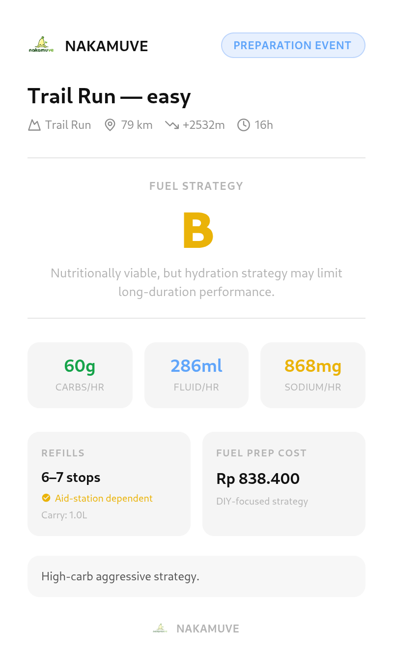 Fuel plan summary example